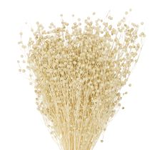 Prodotto Erba di lino essiccata, sbiancata al naturale, 50-55 cm, 180 g
