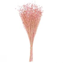 Prodotto Decorazione di erba di lino essiccata rosa chiaro 50-55 cm 80 g decorazione da tavola