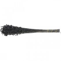 Prodotto Lino ornamentale essiccato, nero, 50-55 cm, 80 g