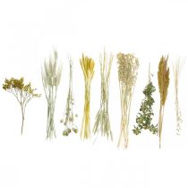 Prodotto Kit fai da te di fiori secchi gialli per bouquet creativi e ghirlande decorative 60 cm – Prodotto naturale