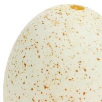 Prodotto Uova di tacchino naturali, decorazione pasquale, vere uova di uccello, 6,5 cm, 10 pezzi