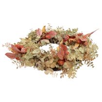 Corona di porta ghirlanda di eucalipto ghirlanda di eucalipto decorazione artificiale Ø55cm