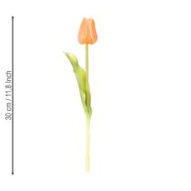 Prodotto Tulipani artificiali per decorazioni primaverili, soggiorno e cucina, dall'aspetto realistico, 30 cm, 7 pezzi