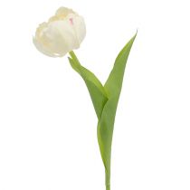 Tulipano crema 37 cm 6 pezzi
