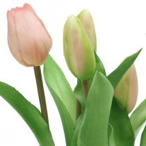 Prodotto Tulipano rosa, verde in vaso Pianta artificiale in vaso Tulipano decorativo H23cm