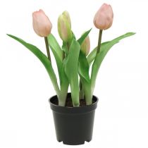 Prodotto Tulipano rosa, verde in vaso Pianta artificiale in vaso Tulipano decorativo H23cm