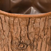 Prodotto Vaso per piante in legno rotondo in corteccia di pino Ø15cm H12,5cm