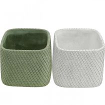 Prodotto Fioriera in ceramica bianco verde rete a rilievo 12,5x12,5cm H9cm 2pz