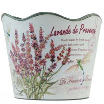 Prodotto Vaso da fiori in plastica lavanda Ø13,5 cm H12 cm