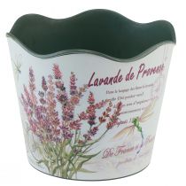 Prodotto Vaso da fiori in plastica lavanda Ø13,5 cm H12 cm