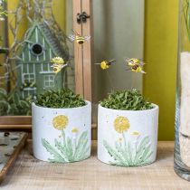 Prodotto Fioriera in cemento tarassaco decorazione estiva vaso di fiori Ø12,5 cm H11 cm 3 pezzi