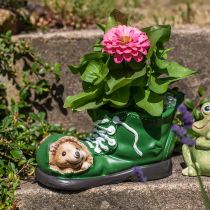 Prodotto Decorazione fioriera, scarpa verde con riccio, ceramica 14x13cm H13cm