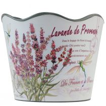 Prodotto Fioriera in plastica per fioriera estiva lavanda Ø16,5 cm H13,5 cm