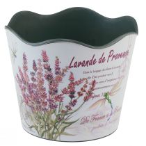 Prodotto Fioriera in plastica per fioriera estiva lavanda Ø16,5 cm H13,5 cm