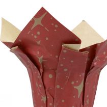 Prodotto Stelle di carta per fioriere rosso/antracite/naturale Ø12cm H12cm 9pz