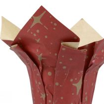 Stelle di carta per fioriera rosso/antracite/naturale Ø4,5 cm H6 cm 9 pezzi