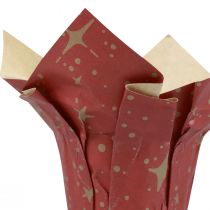 Stelle di carta per fioriera rossa/antracite/naturale Ø9,5 cm H10 cm 9 pezzi