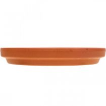 Prodotto Sottobicchiere in ceramica, ciotola decorativa in terracotta Ø7,5cm