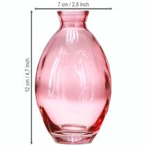 Prodotto Vaso bulboso, mini vasi, vetro rosa sfumato, Ø7cm, H12cm, 6 pezzi