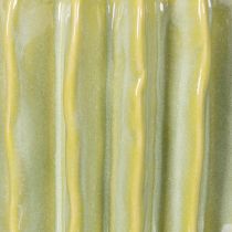 Prodotto Vaso per cactus, ciotola ideale per accenti esotici per la casa, 16 cm