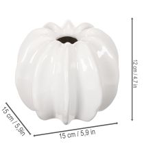 Prodotto Vaso in ceramica a forma di zucca, bianco, decorazione per la casa, 15 cm