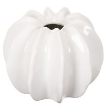 Prodotto Vaso decorativo a forma di zucca, lucido, decorazione autunnale per soggiorno, 19 cm