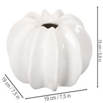 Prodotto Vaso decorativo a forma di zucca, lucido, decorazione autunnale per soggiorno, 19 cm