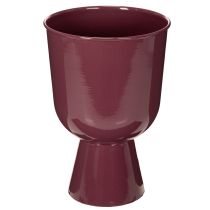 Prodotto Vaso da fiori a forma di coppa, stile moderno, decorativo per qualsiasi casa e ufficio, 23 cm