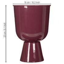 Prodotto Vaso da fiori a forma di coppa, stile moderno, decorativo per qualsiasi casa e ufficio, 23 cm
