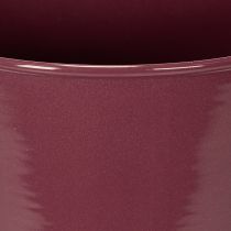 Prodotto Vaso da fiori a forma di coppa, stile moderno, decorativo per qualsiasi casa e ufficio, 23 cm