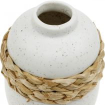 Prodotto Vaso di fiori in ceramica bianca e vaso di fanerogame decorazione estiva H17.5cm