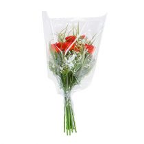 Prodotto Imbuto per imballaggio L L 55 cm L 50 cm - 15 cm 50 pz