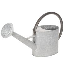 Prodotto Annaffiatoio vintage in metallo, grigio argento, elegante decorazione da giardino, vaso per fiori, L53cm H29cm