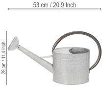 Prodotto Annaffiatoio vintage in metallo, grigio argento, elegante decorazione da giardino, vaso per fiori, L53cm H29cm