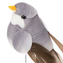 Prodotto Uccelli decorativi, decorazioni artificiali per la casa, occasioni primaverili, con piumaggio colorato fatto di piume vere, 5 cm, 18 pezzi