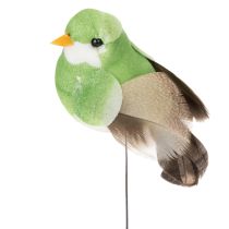 Prodotto Uccelli decorativi, decorazioni artificiali per la casa, occasioni primaverili, con piumaggio colorato fatto di piume vere, 5 cm, 18 pezzi