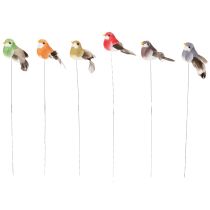 Prodotto Uccelli decorativi, decorazioni artificiali per la casa, occasioni primaverili, con piumaggio colorato fatto di piume vere, 5 cm, 18 pezzi