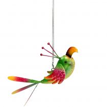 Uccello per appendere verde, rosa, arancione 18,5 cm