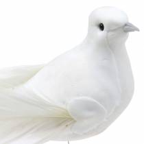 Colomba su filo bianco 10cm 6pz