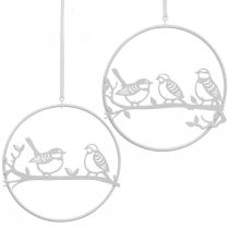 Uccello deco decorazione finestra primavera, metallo bianco Ø12cm 4 pezzi
