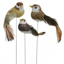 Decorazione primaverile, uccellini, uccellini decorativi su filo marrone, beige H2.5cm 24pz