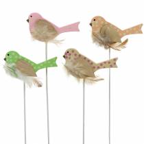 Spina decorativa uccello legno verde, rosa, giallo, arancione assortiti 7 cm x 4 cm H24 cm 16 pezzi
