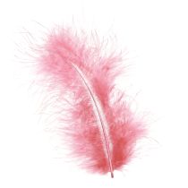 Prodotto Piume di uccelli artigianali in piume rosa primaverili Pasqua 20g