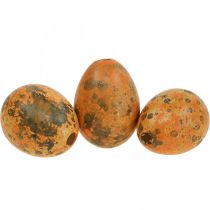 Prodotto Decorazione uova di quaglia uova soffiate arancio albicocca 3cm 50pz