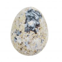 Prodotto Uova di quaglia marmorizzate bianche 3,5 cm - 4 cm 50 pz