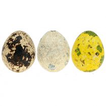 Assortimento di uova di quaglia gialle, naturali 3cm 62pz