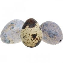 Mix di uova di quaglia viola, viola, natura uova vuote come decorazione 3cm 65p