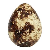 Prodotto Uova di quaglia come decorazione, vuote, naturali, 50 pezzi