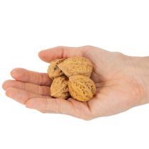 Prodotto Noci, un prodotto naturale per la decorazione della tavola e per progetti fai da te. Noci naturali, 4-5 cm, 300 g.