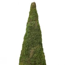 Prodotto Decorazione per albero di Natale in muschio verde naturale Ø25cm H70cm